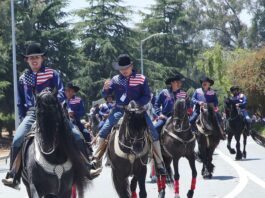 spirit of watsonville fourth of july parade horses