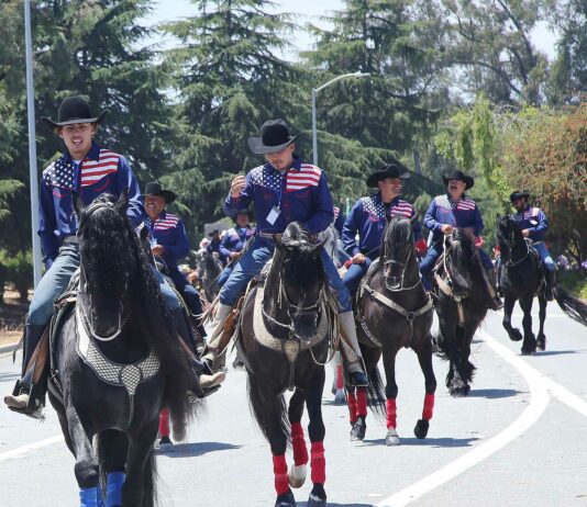 spirit of watsonville fourth of july parade horses