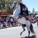 Image for display with article titled PHOTOS: Spirit of Watsonville Fourth of July Parade celebrates the stars and stripes