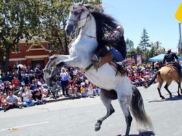 spirit of watsonville fourth of july parade