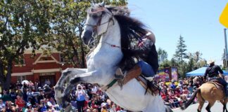 spirit of watsonville fourth of july parade