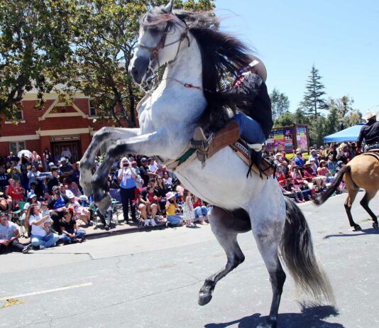 spirit of watsonville fourth of july parade