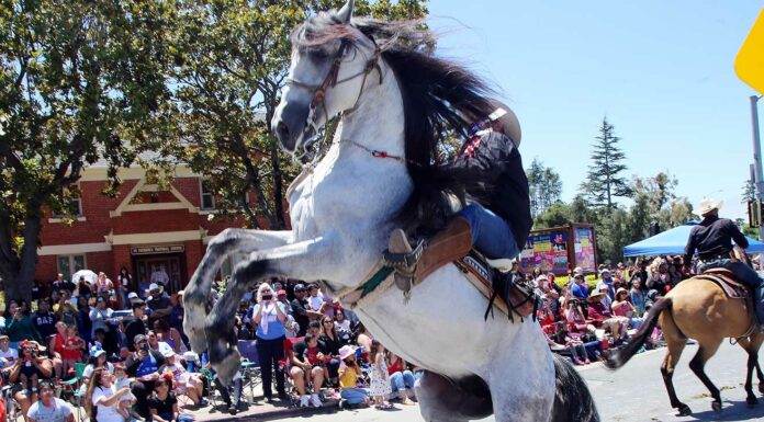 spirit of watsonville fourth of july parade