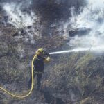 Image for display with article titled PHOTO: Firefighters douse Ohlone Parkway blaze