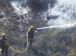 ohlone parkway fire