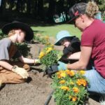 Image for display with article titled Santa Cruz County Fair Efforts Blooming