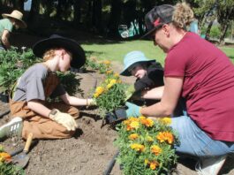 Santa Cruz County fairgrounds flower planting