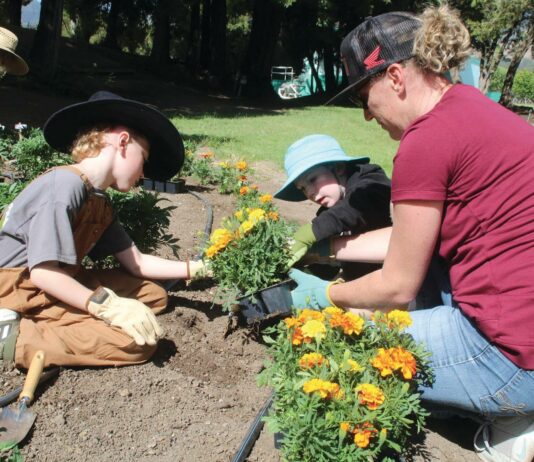 Santa Cruz County Fair efforts blooming Santa Cruz County fairgrounds flower planting