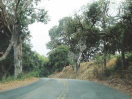whiting road