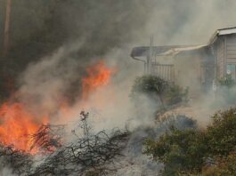 vega road fire