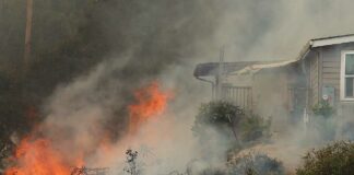 vega road fire