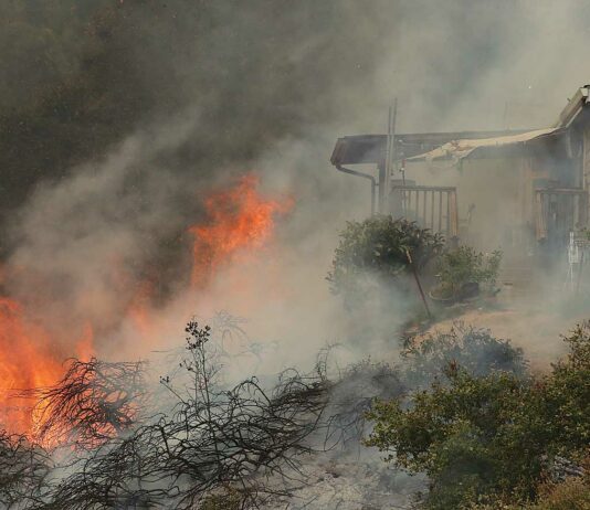 Wildfire sparks evacuations in Royal Oaks vega road fire