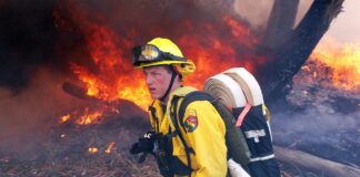 wildland fire