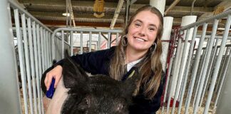 santa cruz county fair