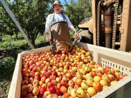 Prevedelli Farms