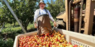 Prevedelli Farms