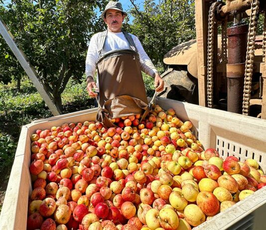 Prevedelli Farms