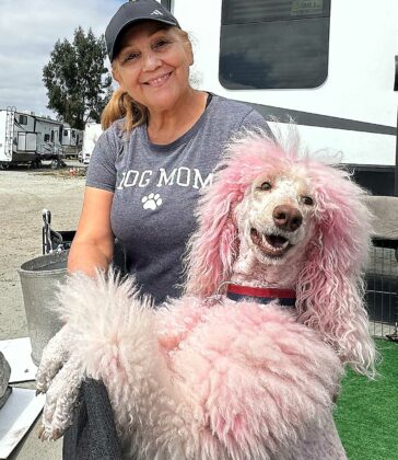 Isabel Abuhadba Cartoon Poodles santa cruz county fair