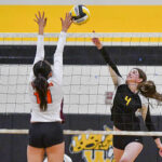 Image for display with article titled ‘Catz continue to shine after hot start | PCAL girls volleyball preview