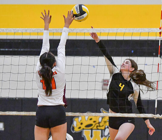 ‘Catz continue to shine after hot start | PCAL girls volleyball preview