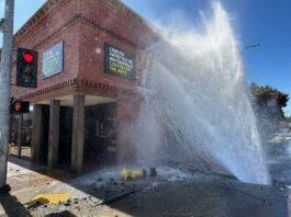 west beach street geyser fire hydrant