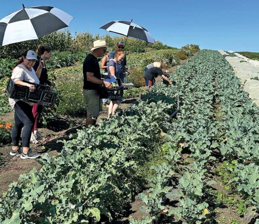 PHOTO: Public goes behind the scenes at local farms open farm tour esperanza community farms