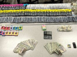 drug bust watsonville