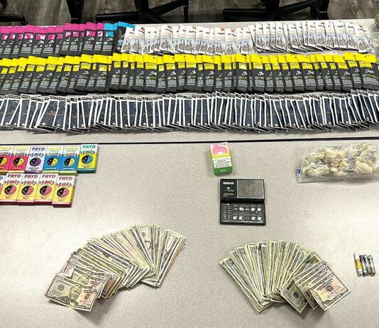 drug bust watsonville