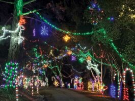 holiday lights santa cruz county fairgrounds