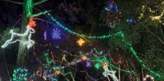 holiday lights santa cruz county fairgrounds