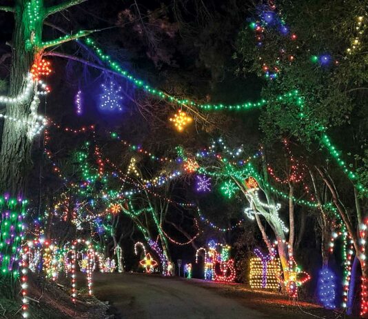 holiday lights santa cruz county fairgrounds