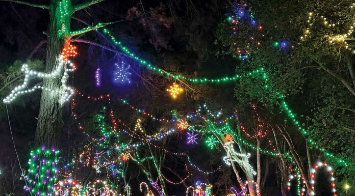 holiday lights santa cruz county fairgrounds