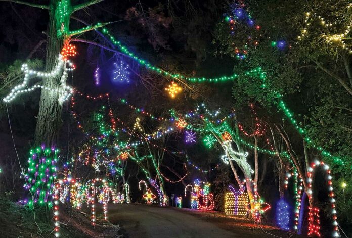 holiday lights santa cruz county fairgrounds