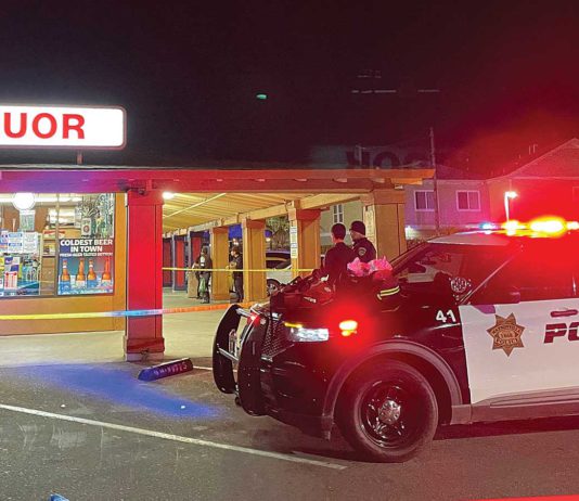 watsonville police stabbing investigation