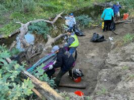 Crews help clean up Corralitos Creek corralitos creek cleanup airport boulevard