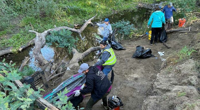 corralitos creek cleanup airport boulevard