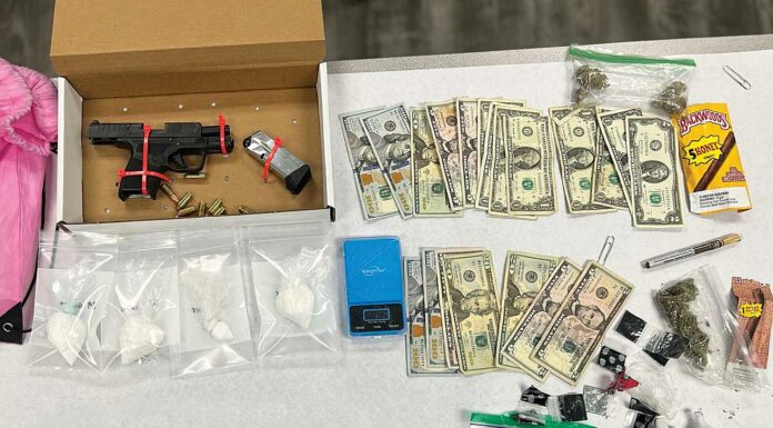 watsonville police drug gun bust