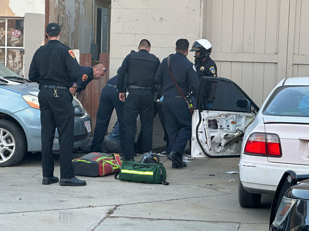 Attempted murder suspect arrested after stabbing police dog | The ...