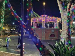 watsonville plaza holiday lights