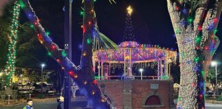 watsonville plaza holiday lights