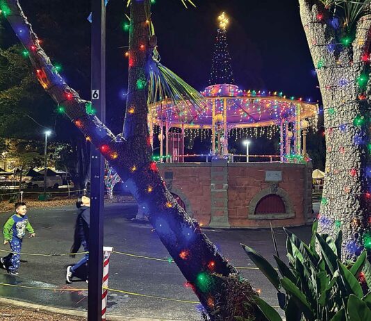 PHOTO: Downtown Watsonville lights up watsonville plaza holiday lights