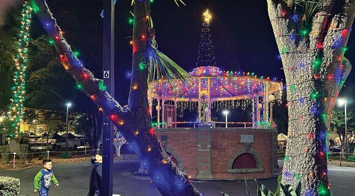 watsonville plaza holiday lights