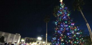 watsonville plaza tree lighting 2018