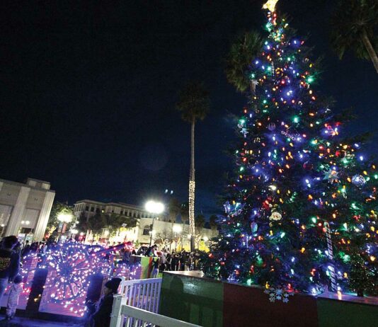 watsonville plaza tree lighting 2018