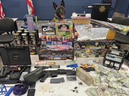 Arrest uncovers drugs, cash, fireworks in Aptos drugs guns arrest watsonville police