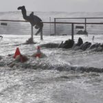 Image for display with article titled High surf pummels coastal Santa Cruz County