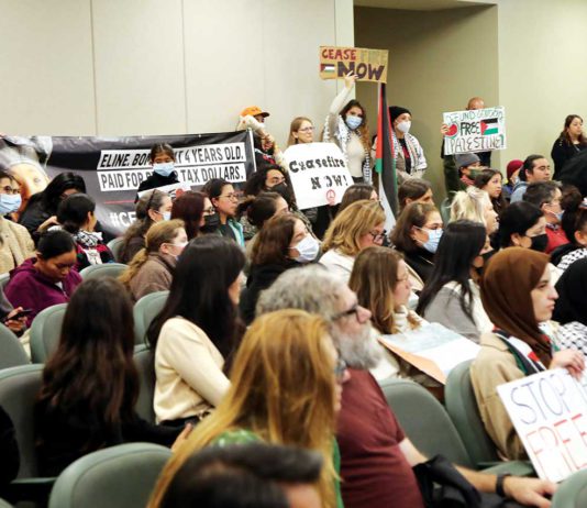 watsonville city council chambers israel gaza