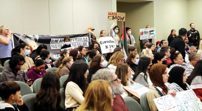 watsonville city council chambers israel gaza