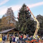 Image for display with article titled PHOTO: Corralitos decorates tree in annual tradition