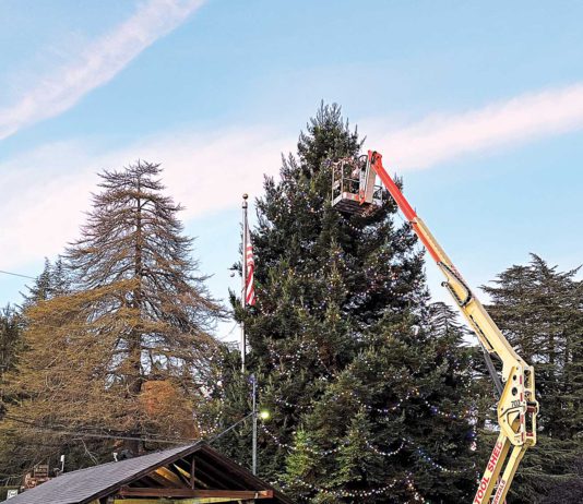 corralitos tree decorating